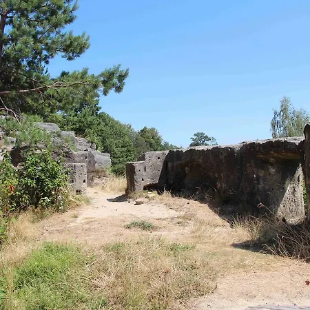 Casa de hóspedes Ubytovací Na Skalách